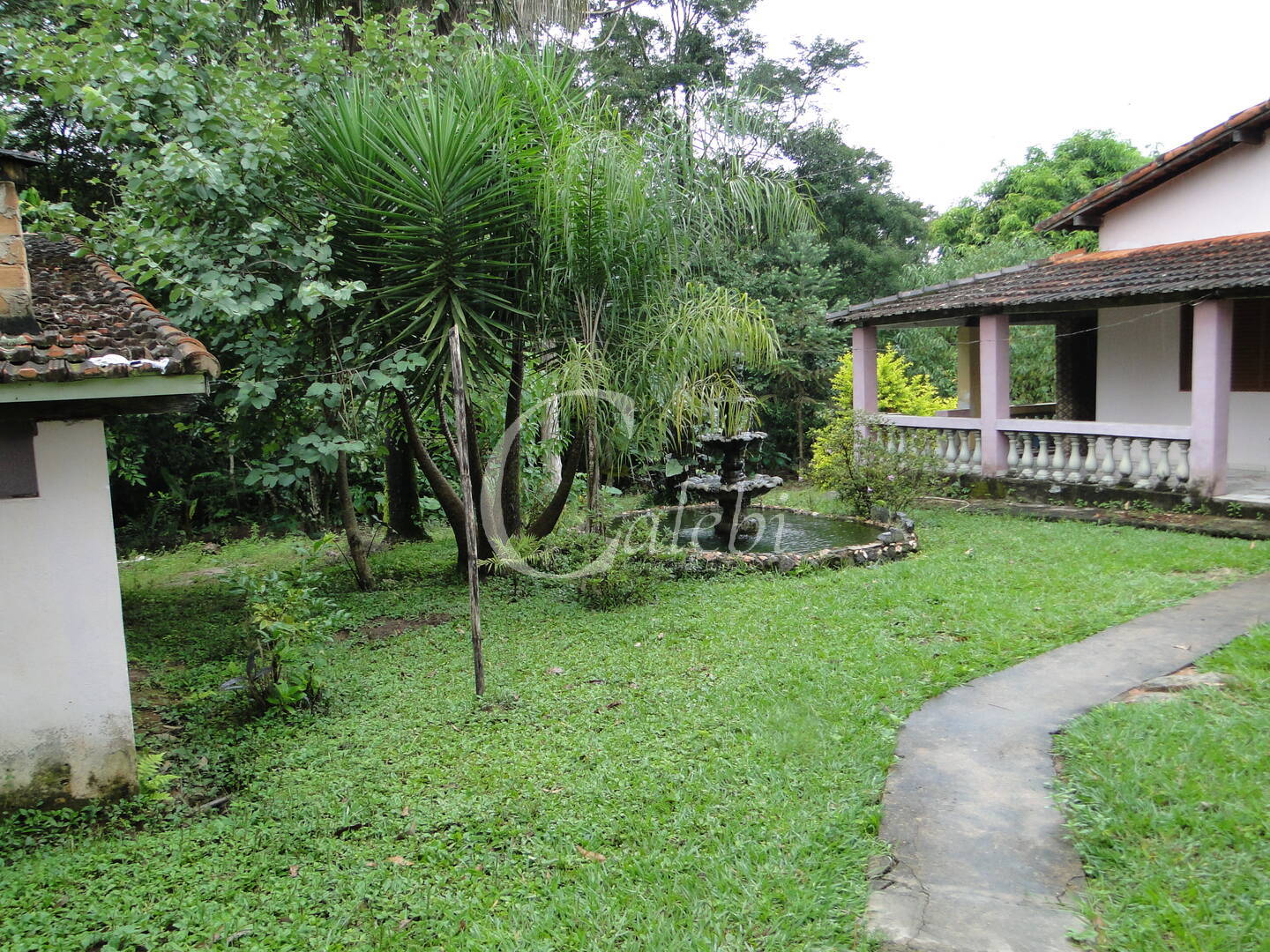 Fazenda à venda com 3 quartos, 4m² - Foto 10