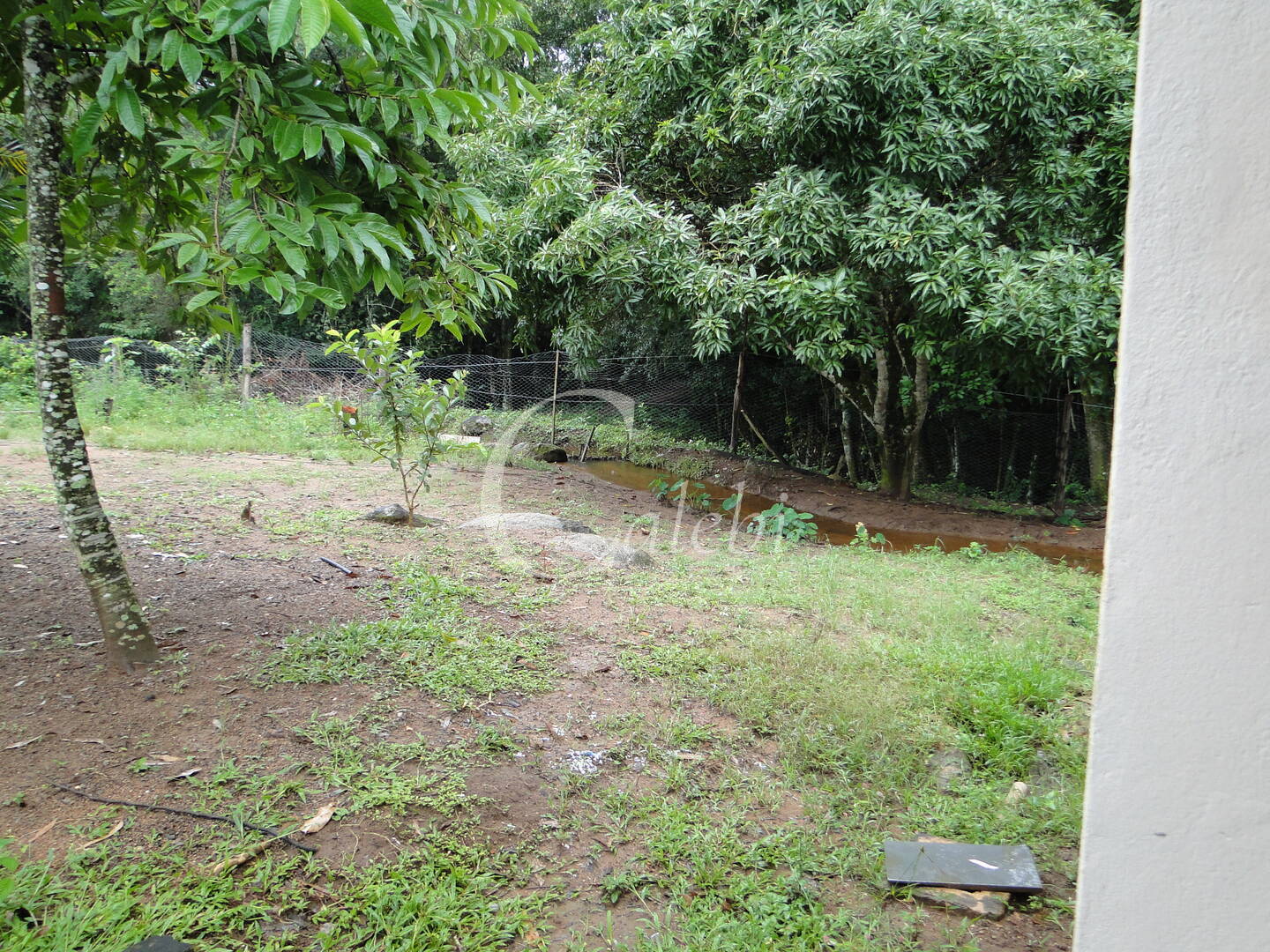 Fazenda à venda com 3 quartos, 4m² - Foto 11