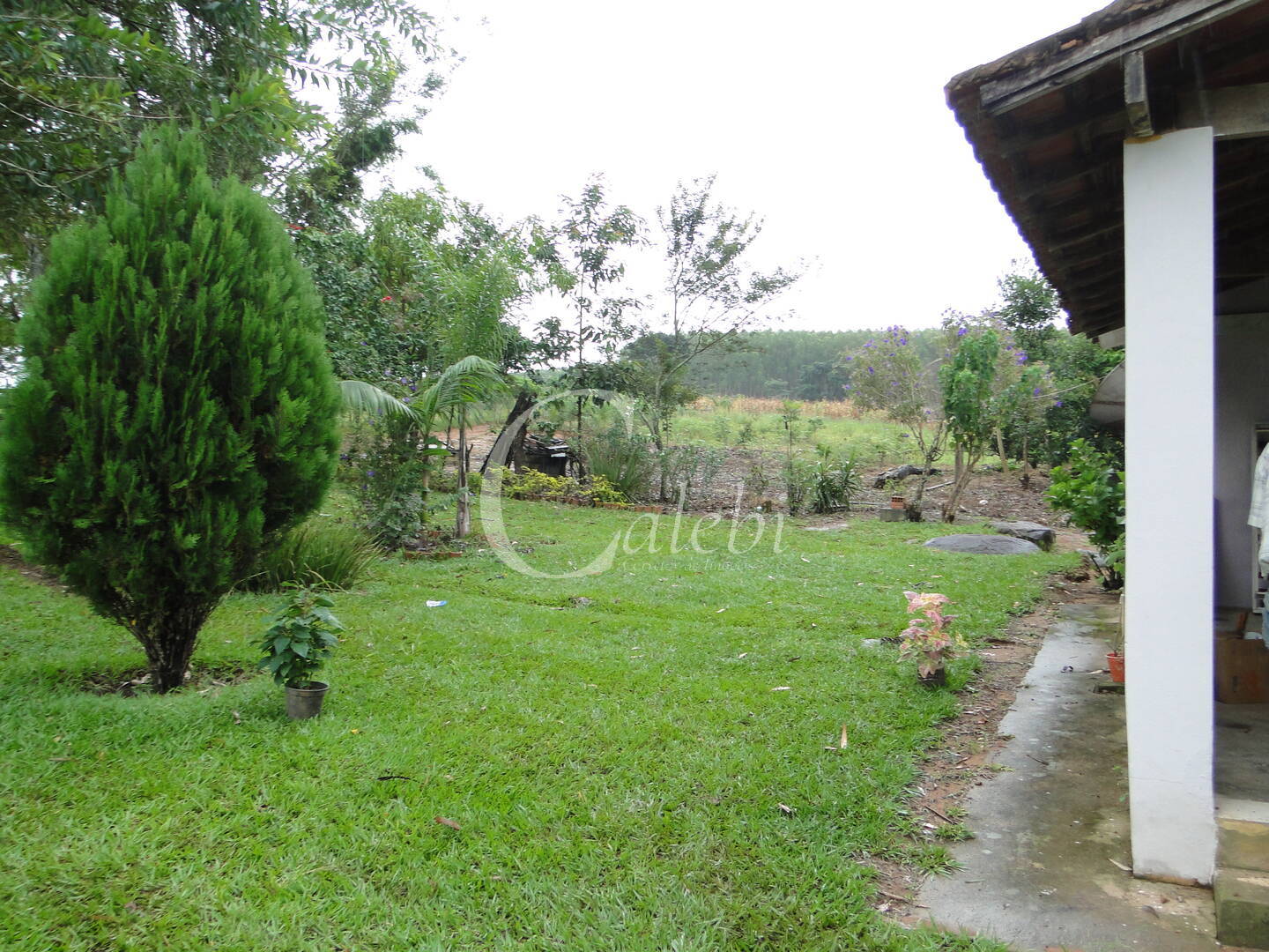 Fazenda à venda com 3 quartos, 4m² - Foto 12