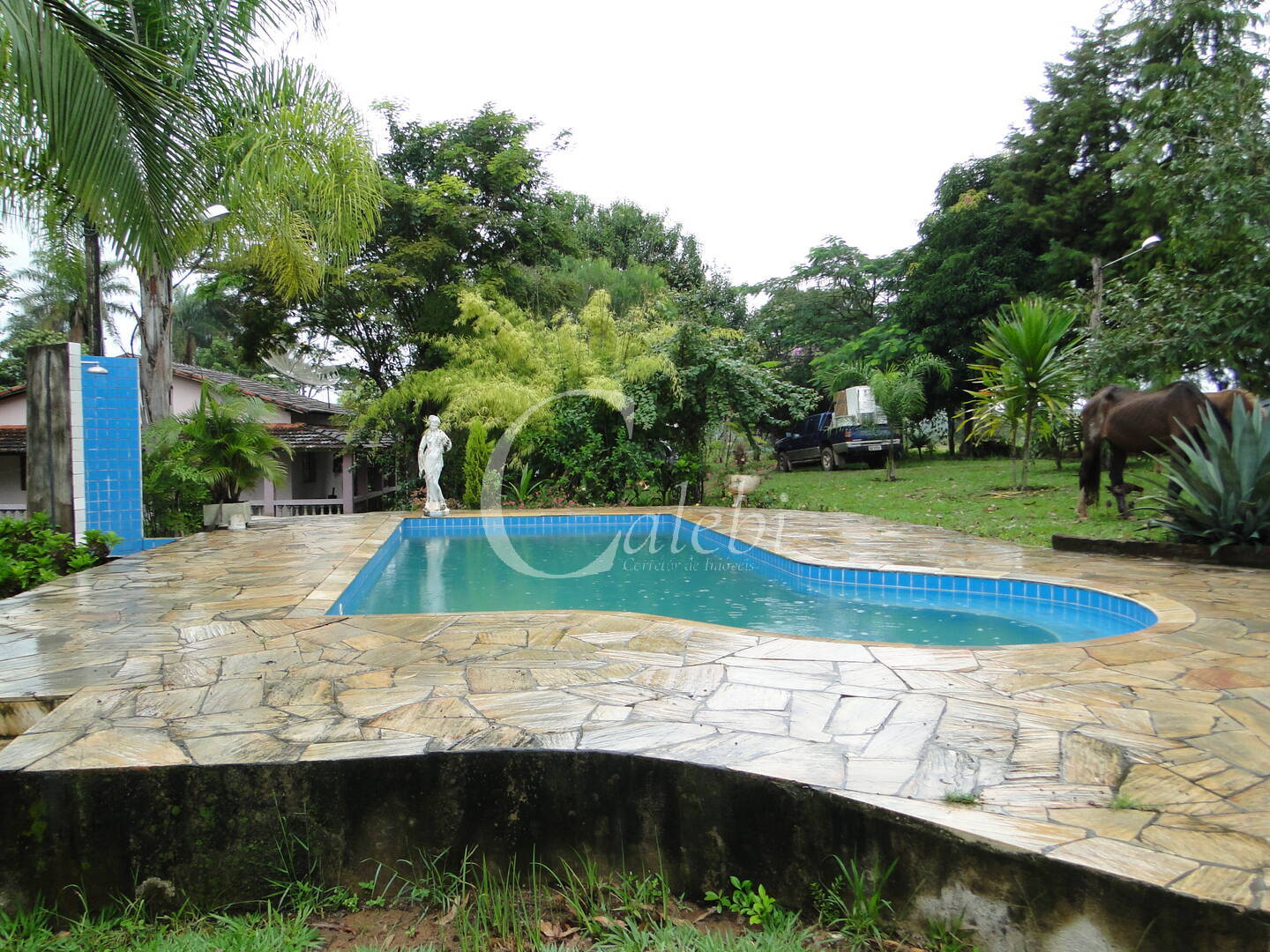 Fazenda à venda com 3 quartos, 4m² - Foto 5