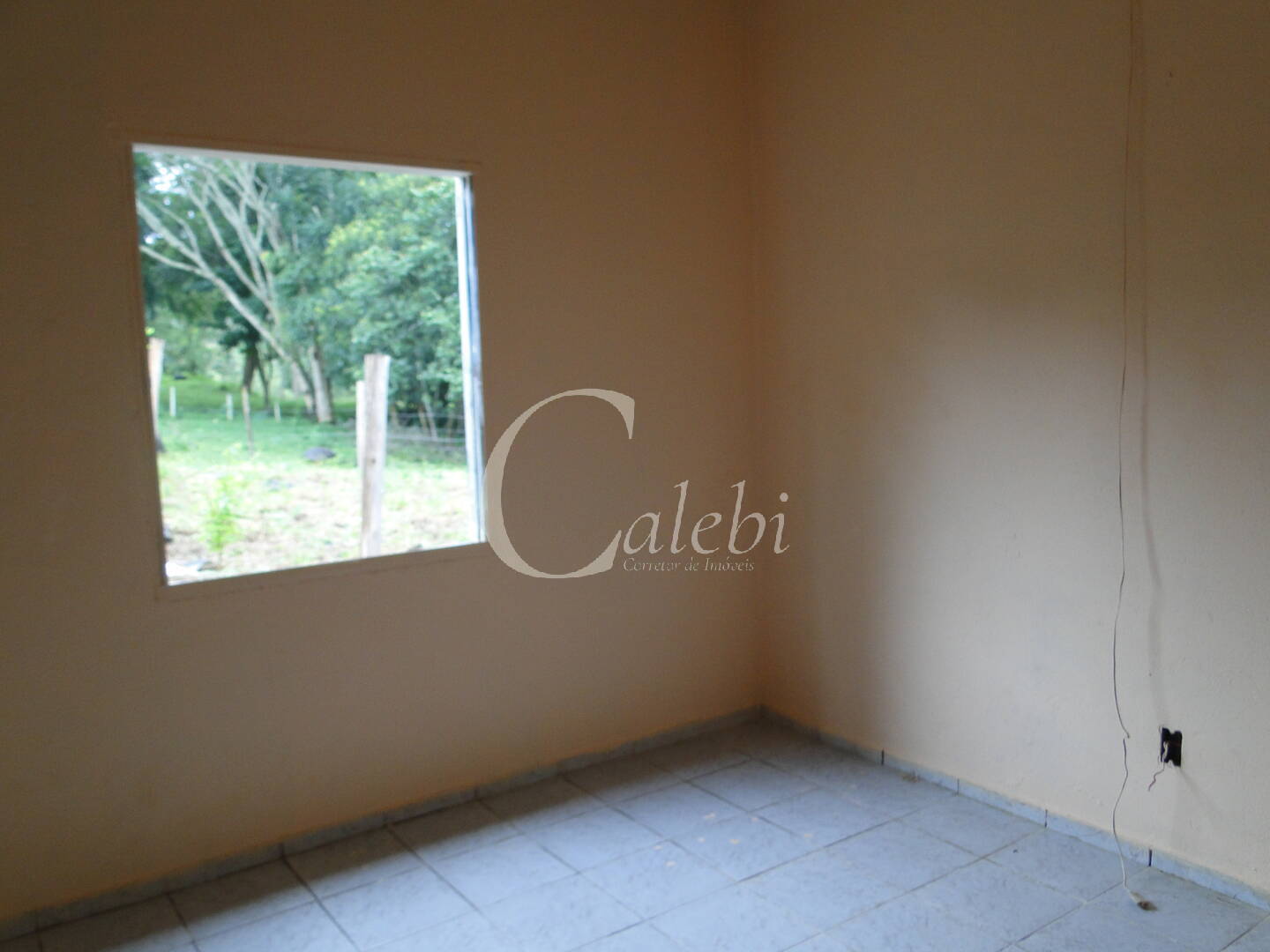 Fazenda à venda com 3 quartos, 4m² - Foto 38