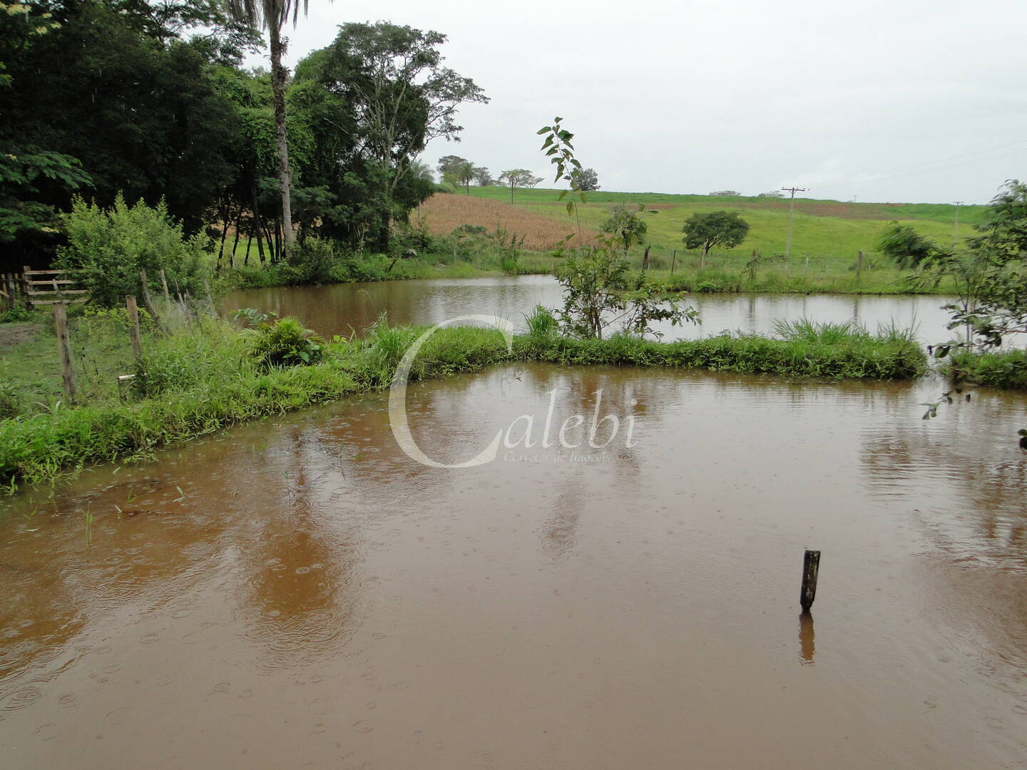 Fazenda à venda com 3 quartos, 4m² - Foto 18