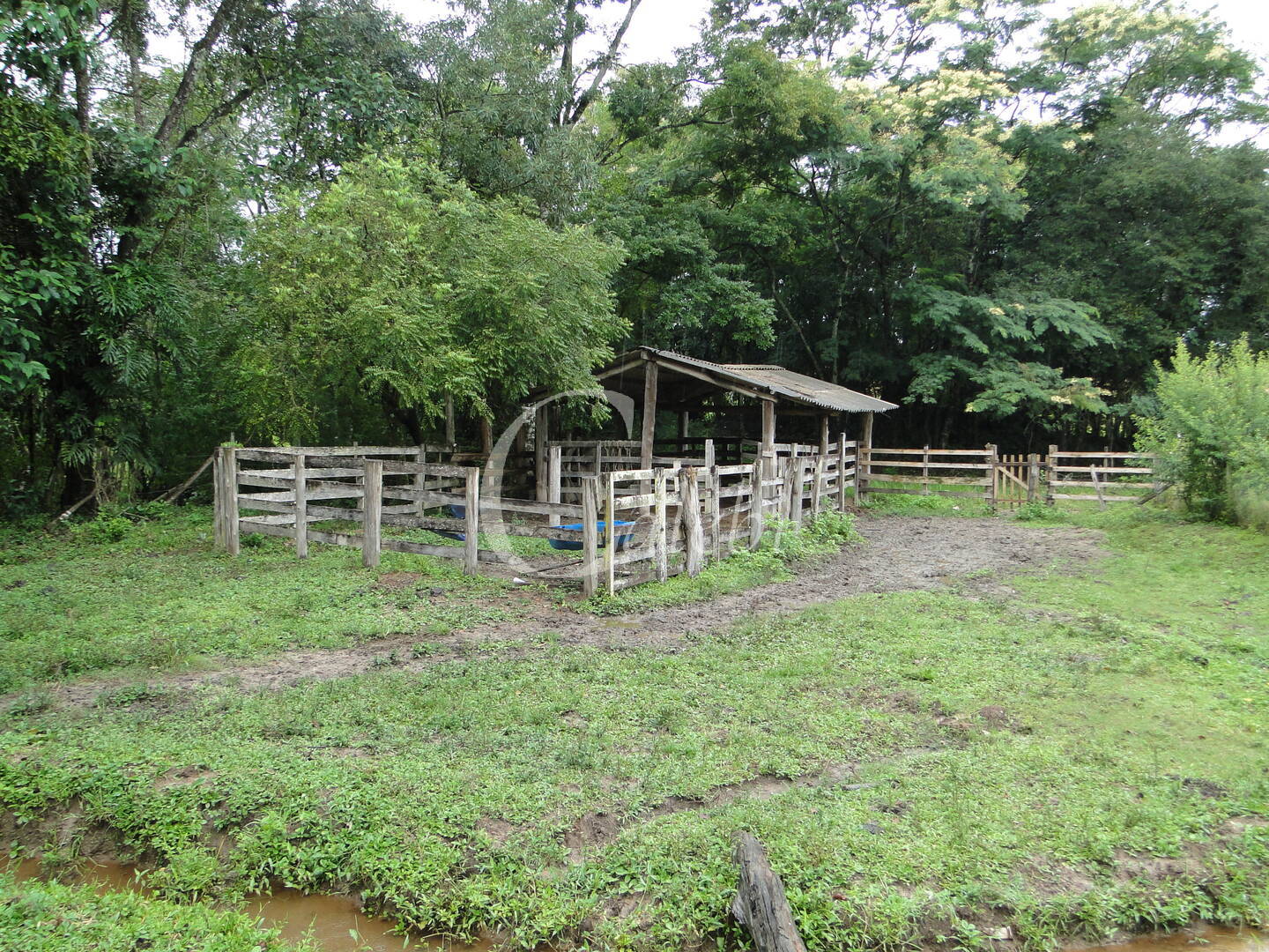 Fazenda à venda com 3 quartos, 4m² - Foto 19