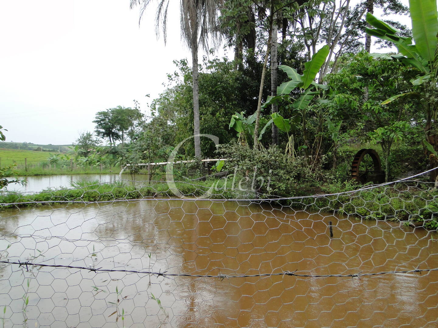 Fazenda à venda com 3 quartos, 4m² - Foto 21