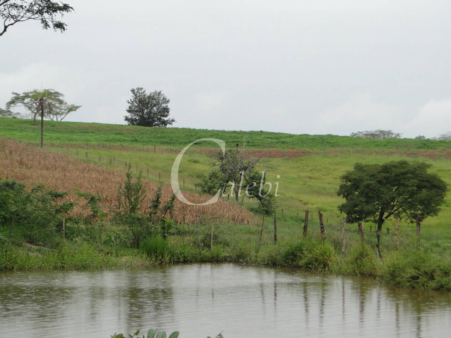 Fazenda à venda com 3 quartos, 4m² - Foto 22