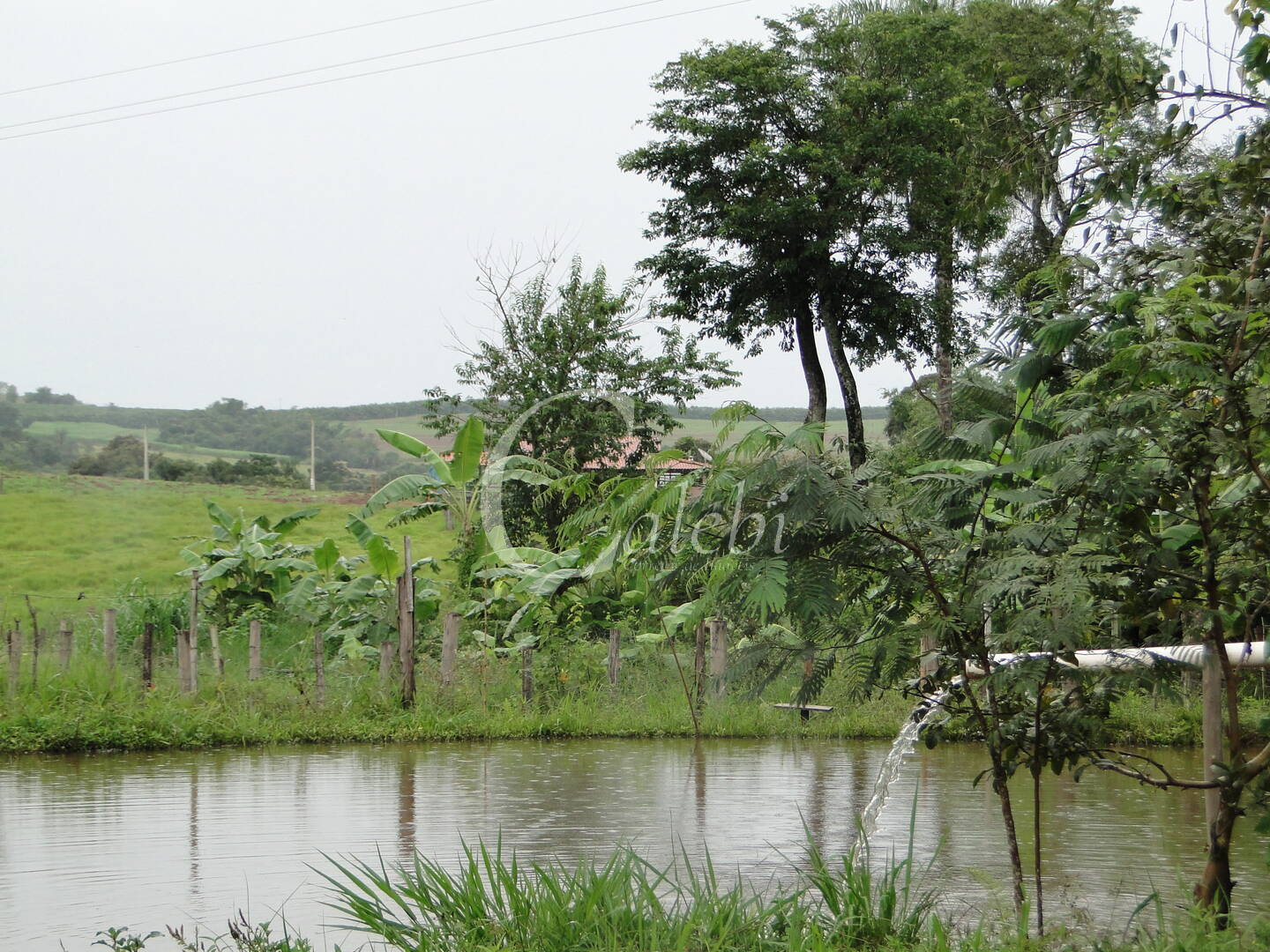 Fazenda à venda com 3 quartos, 4m² - Foto 23