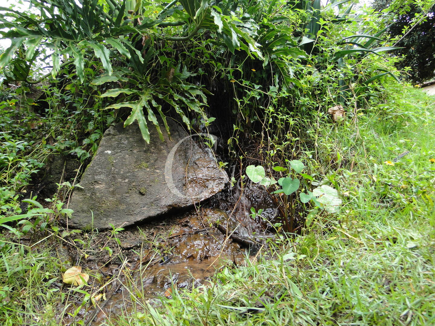 Fazenda à venda com 3 quartos, 4m² - Foto 24