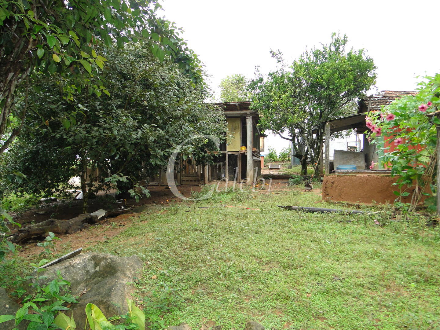 Fazenda à venda com 3 quartos, 4m² - Foto 25