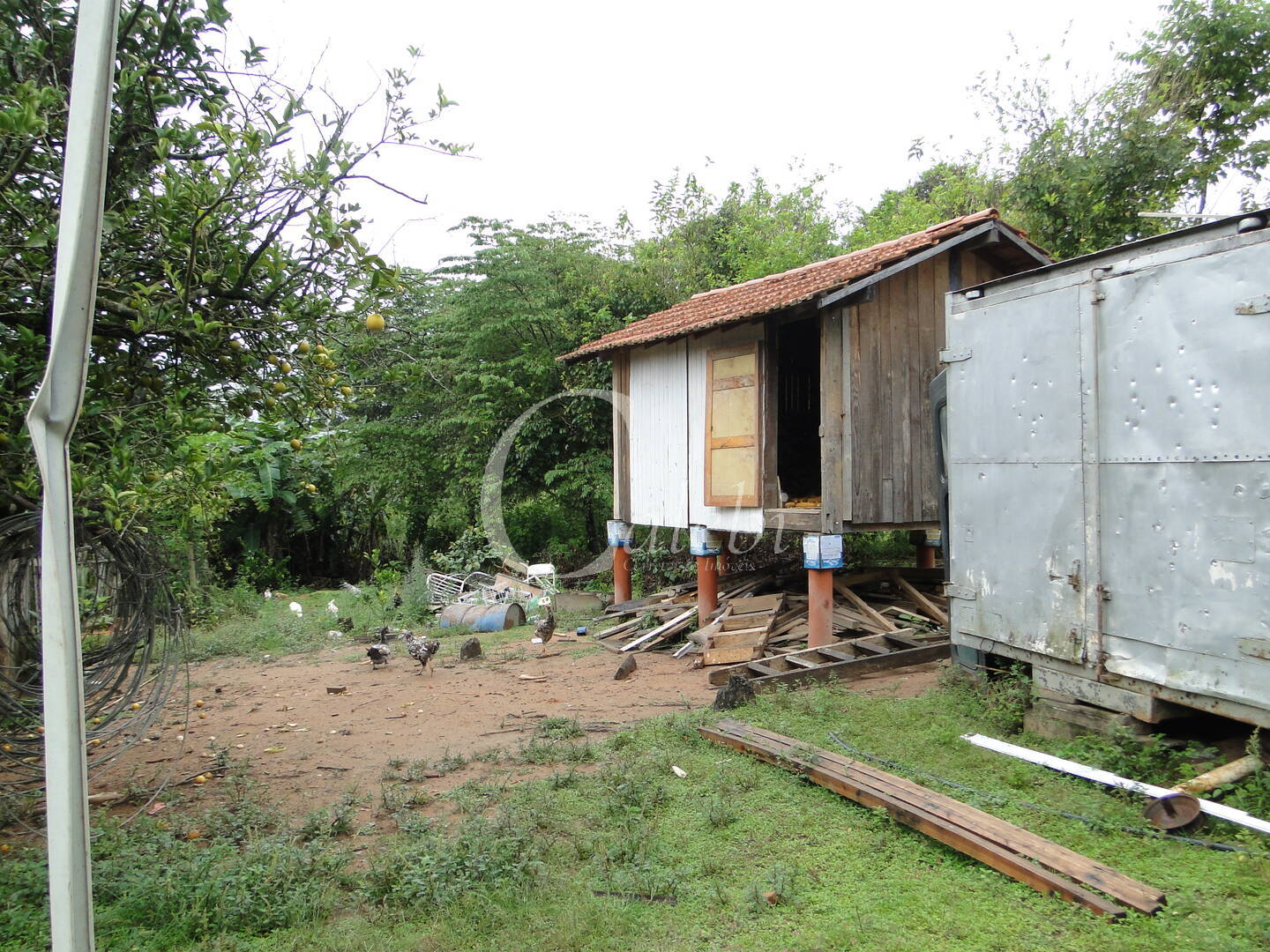 Fazenda à venda com 3 quartos, 4m² - Foto 26