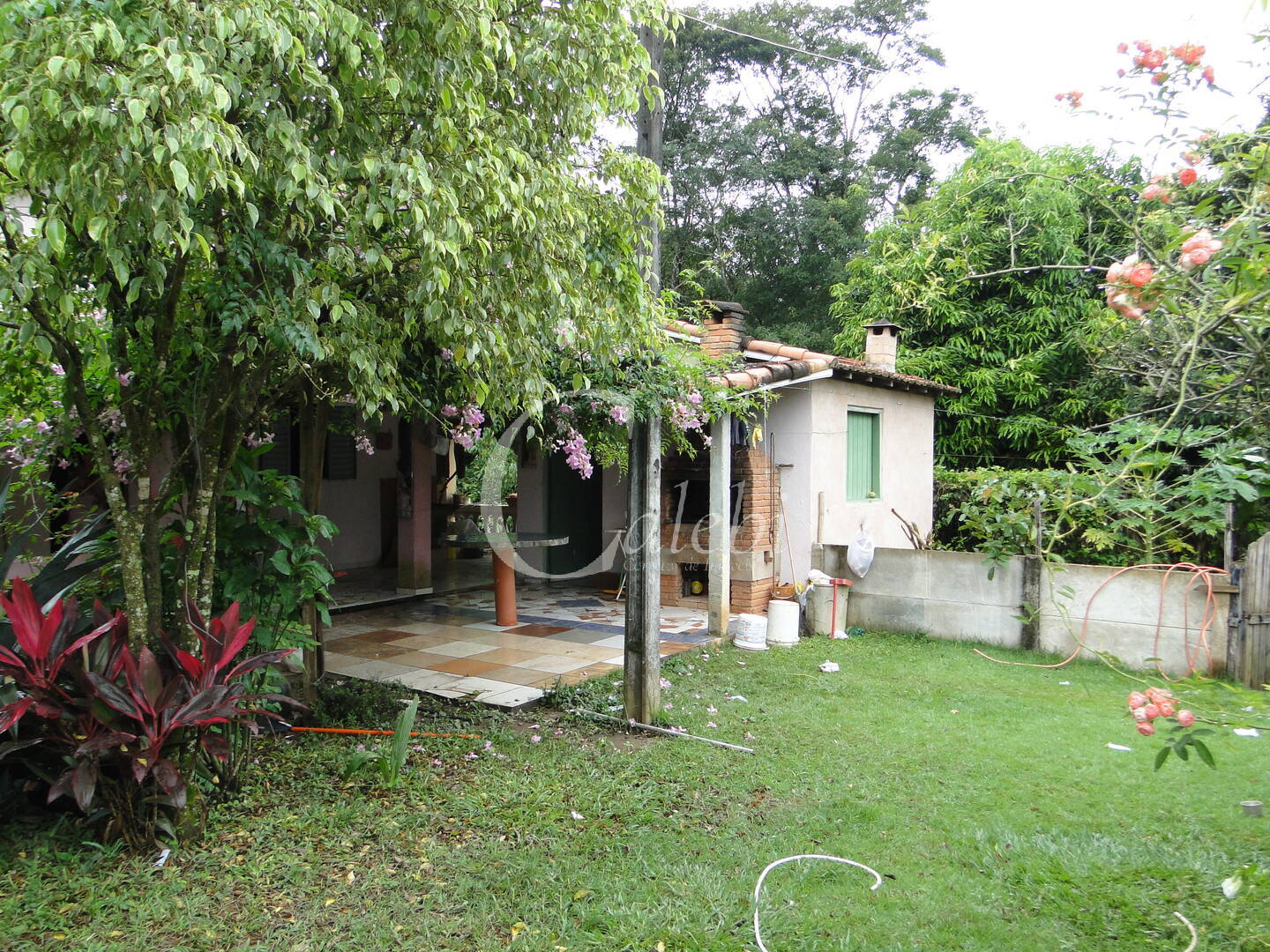 Fazenda à venda com 3 quartos, 4m² - Foto 27