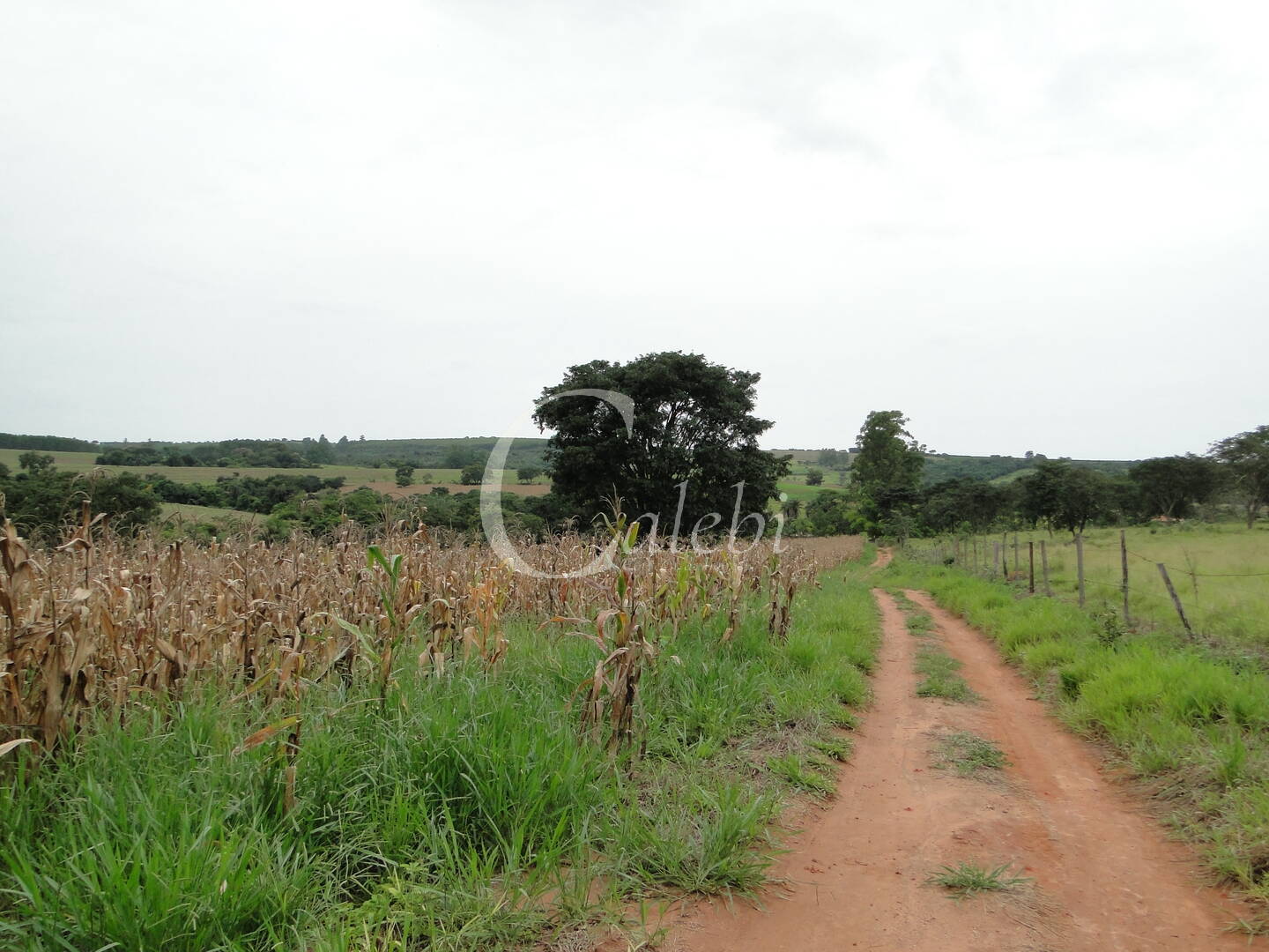 Fazenda à venda com 3 quartos, 4m² - Foto 32