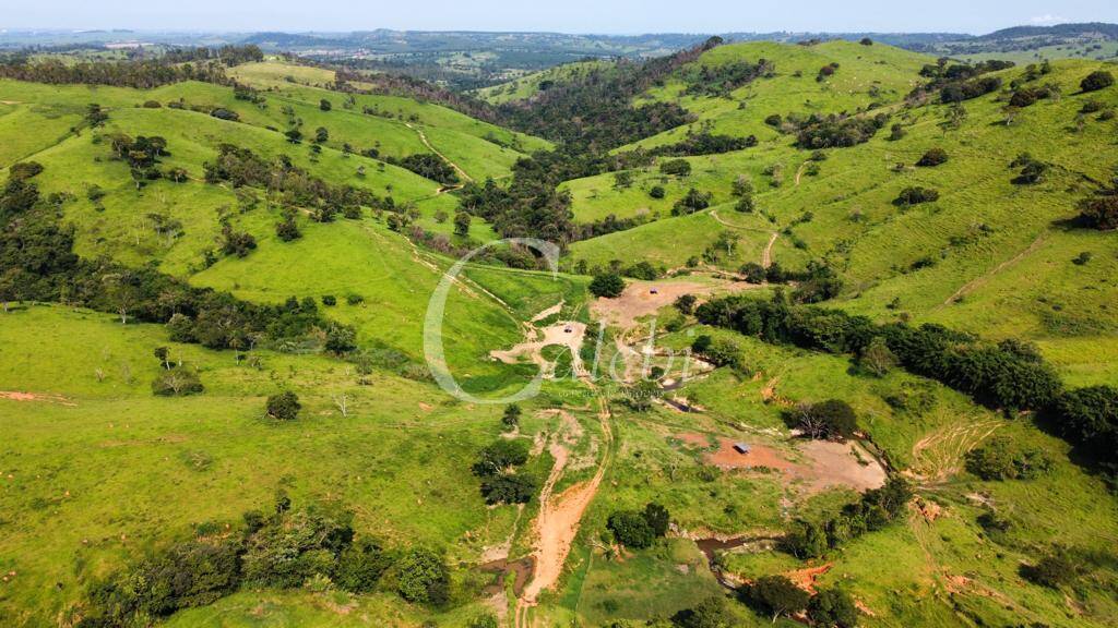 Fazenda à venda com 3 quartos, 218m² - Foto 3