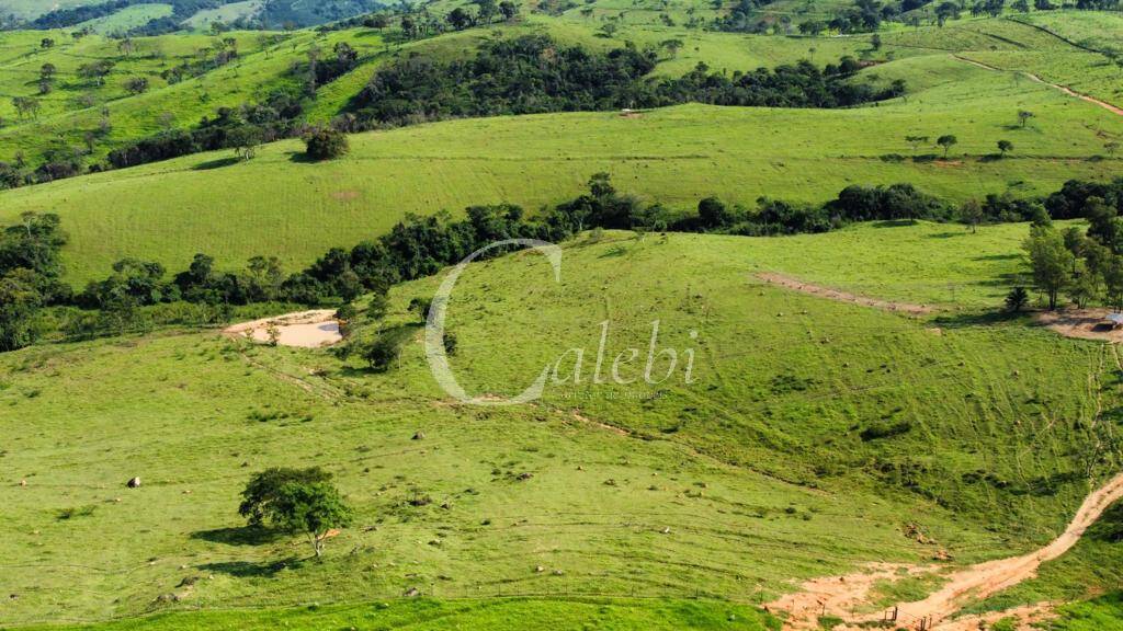 Fazenda à venda com 3 quartos, 218m² - Foto 2