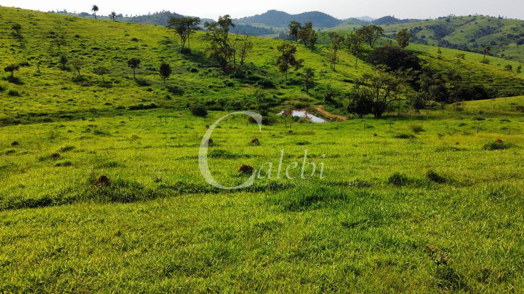 Fazenda à venda com 3 quartos, 218m² - Foto 6