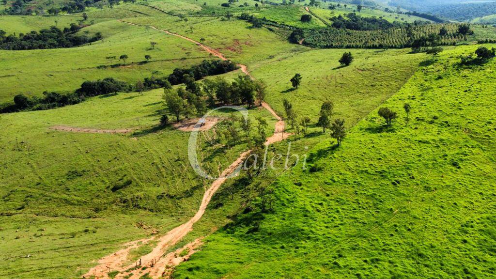 Fazenda à venda com 3 quartos, 218m² - Foto 4