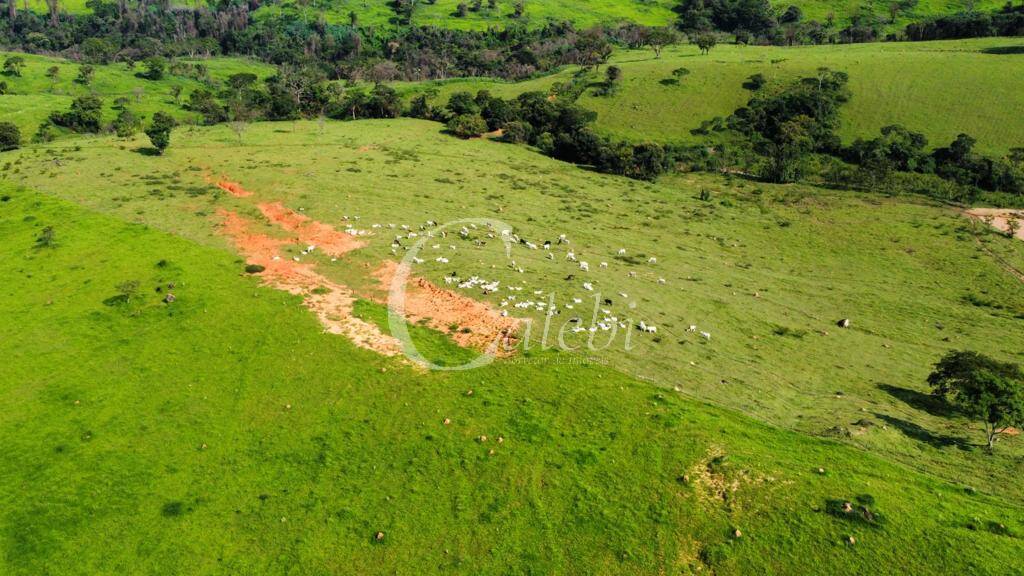 Fazenda à venda com 3 quartos, 218m² - Foto 7