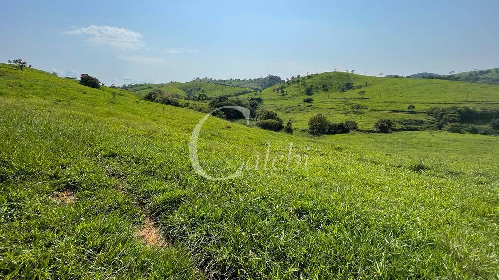 Fazenda à venda com 3 quartos, 218m² - Foto 10