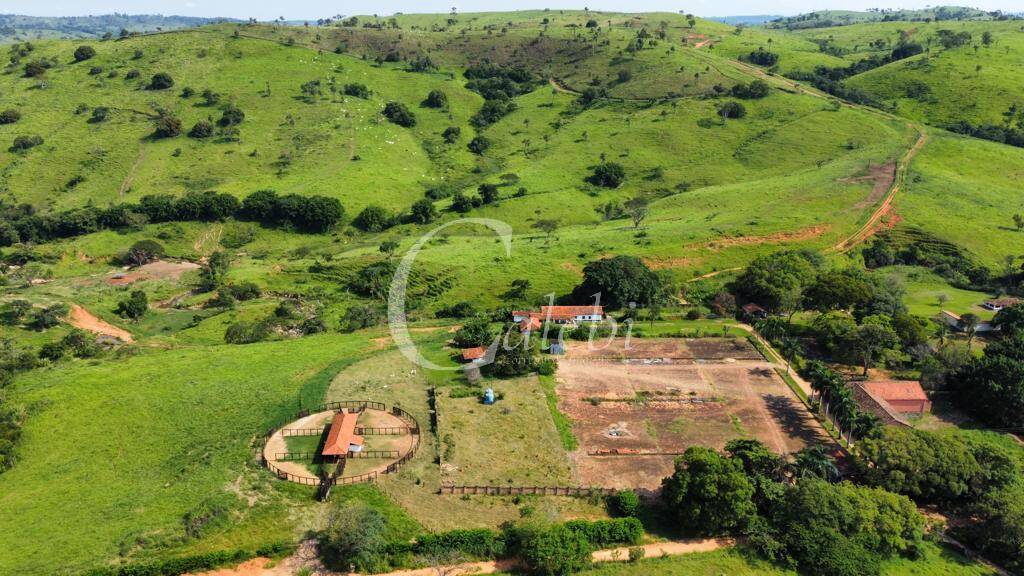 Fazenda à venda com 3 quartos, 218m² - Foto 11