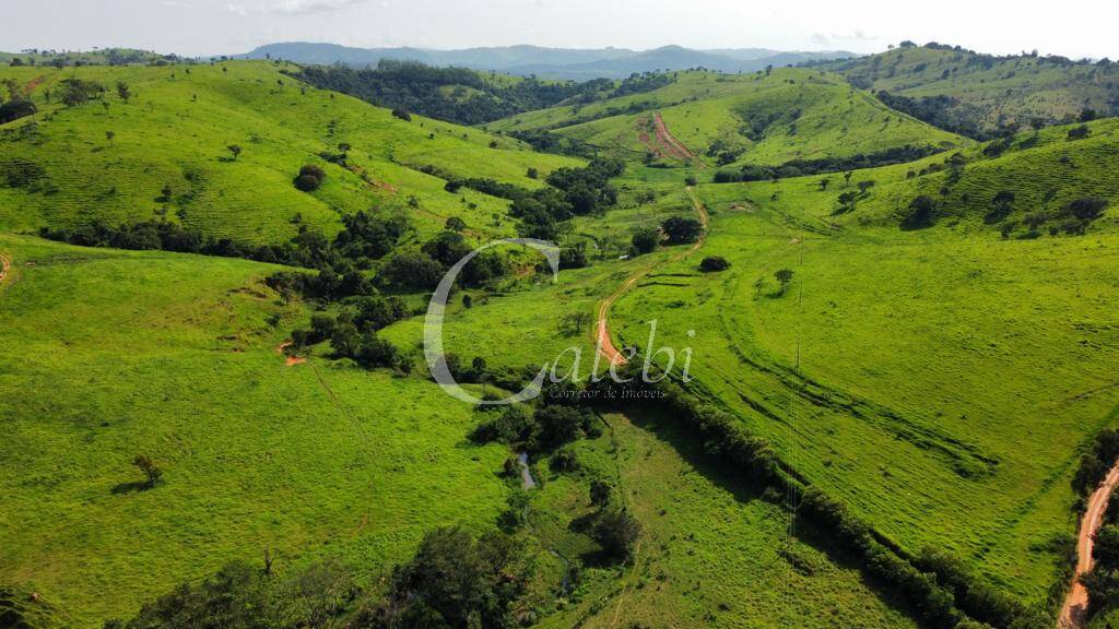 Fazenda à venda com 3 quartos, 218m² - Foto 13