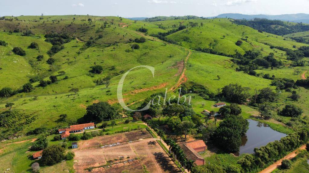 Fazenda à venda com 3 quartos, 218m² - Foto 12