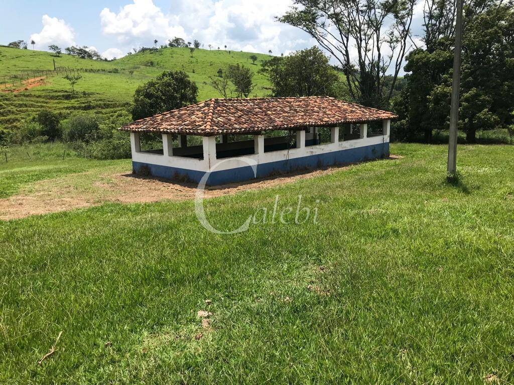 Fazenda à venda com 3 quartos, 218m² - Foto 14