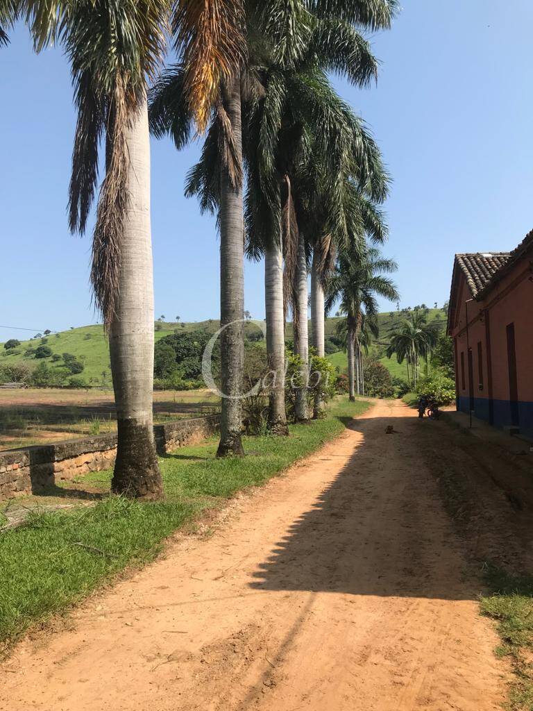 Fazenda à venda com 3 quartos, 218m² - Foto 16