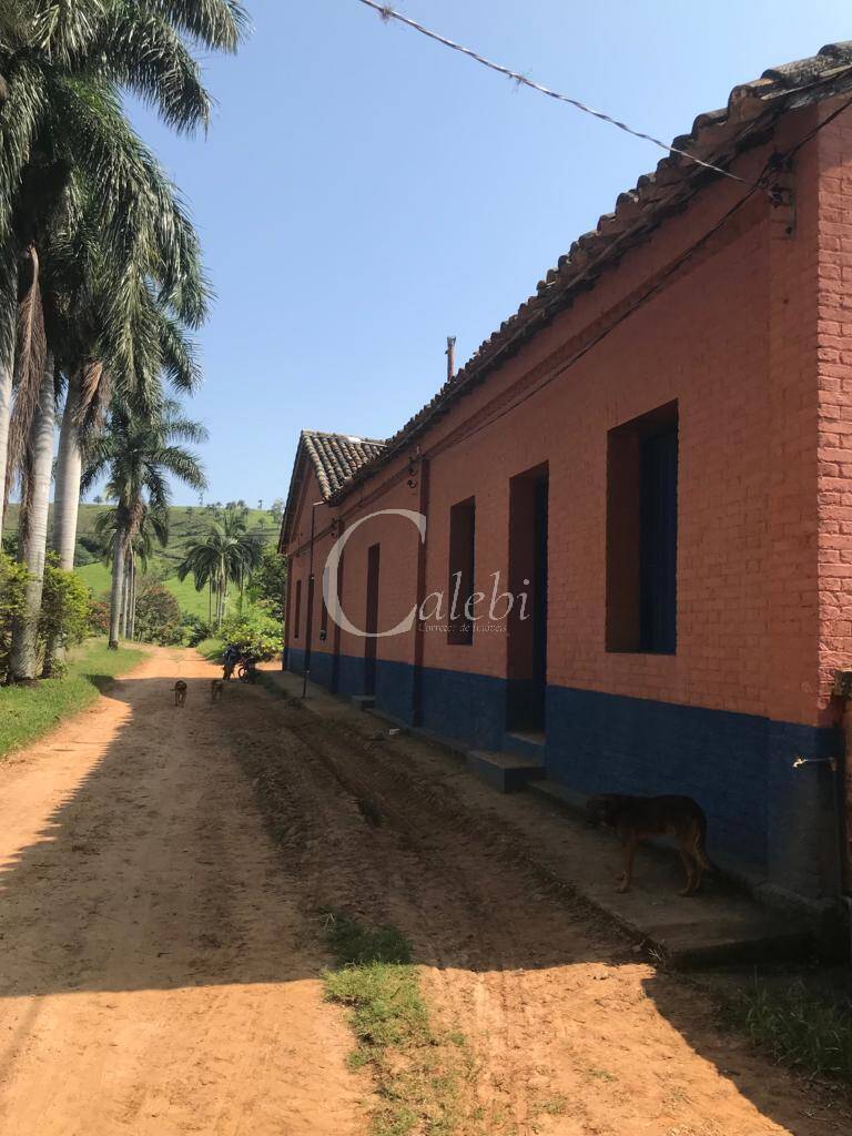 Fazenda à venda com 3 quartos, 218m² - Foto 17