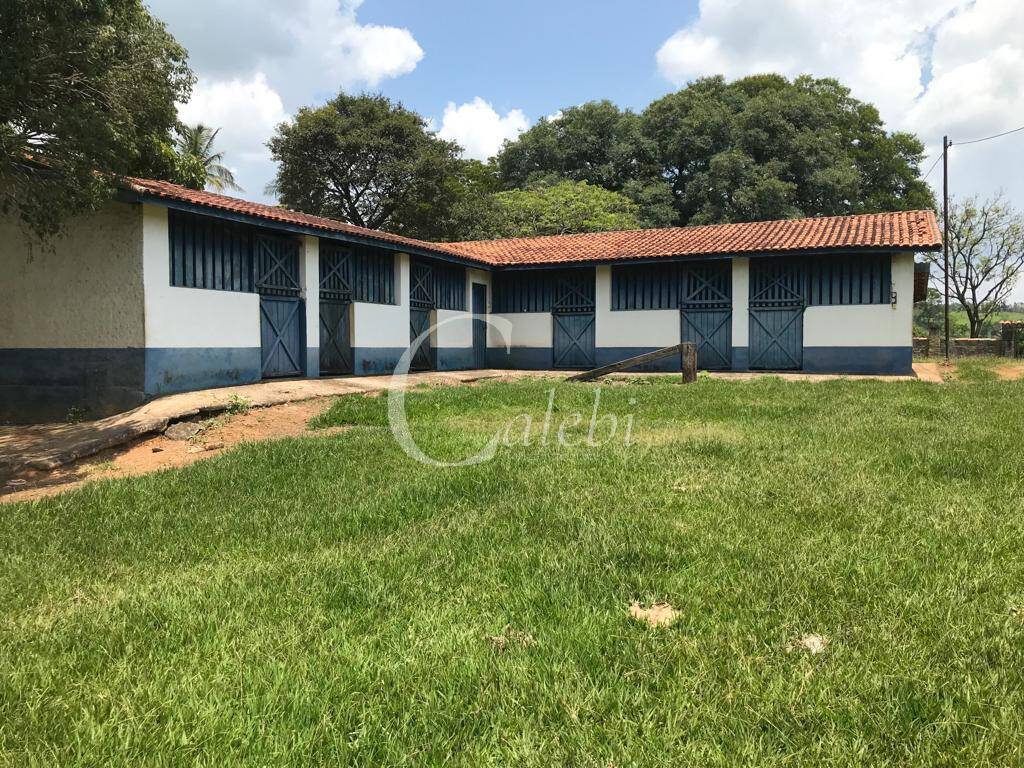 Fazenda à venda com 3 quartos, 218m² - Foto 19