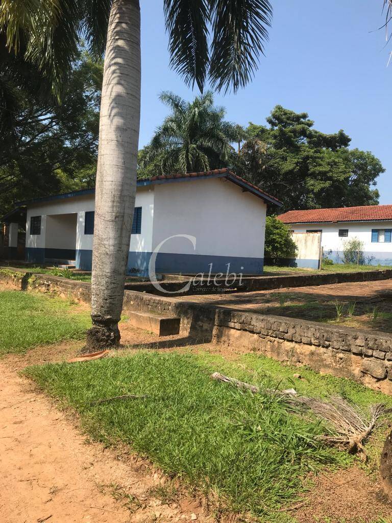 Fazenda à venda com 3 quartos, 218m² - Foto 20