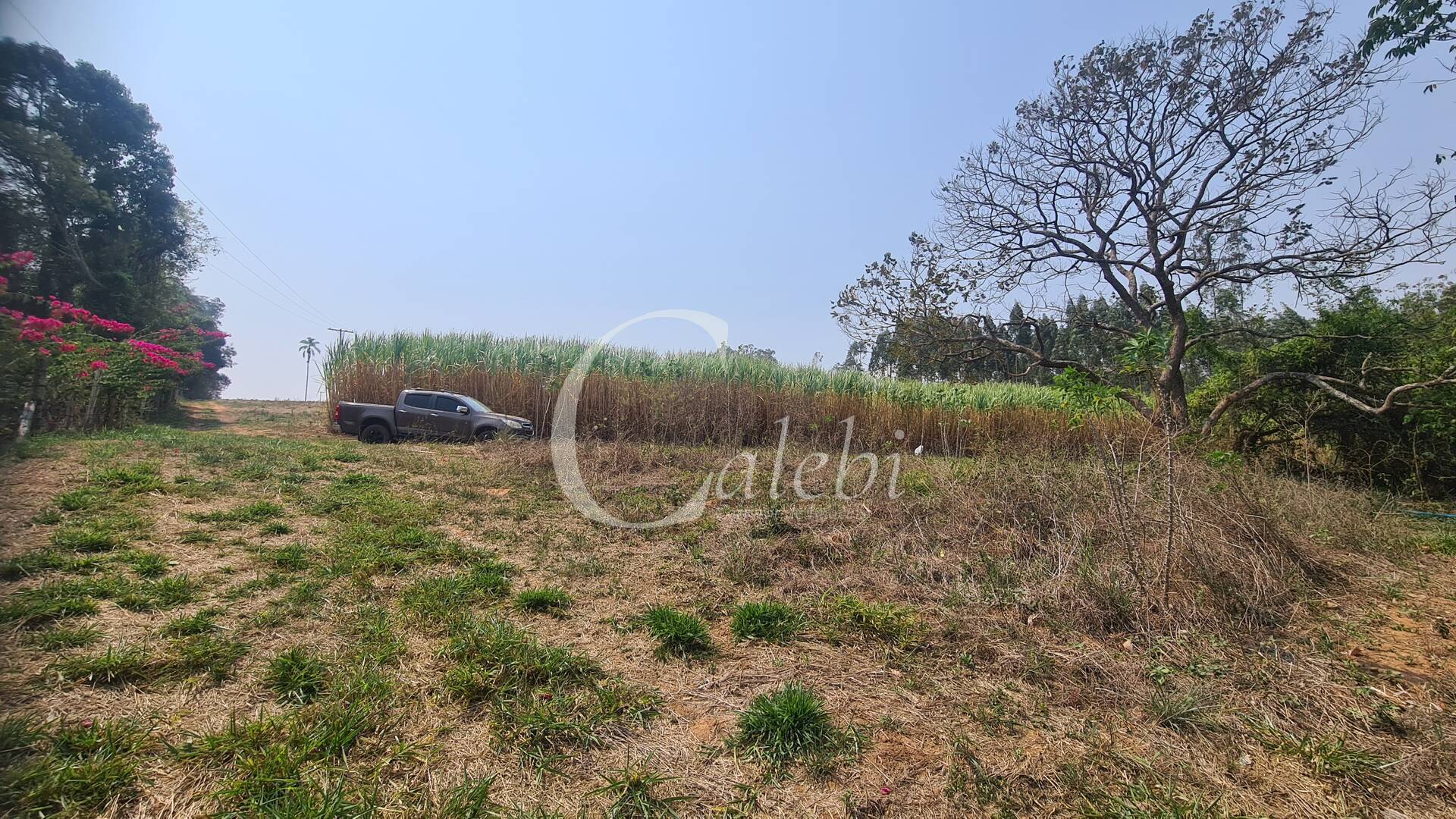 Fazenda à venda com 3 quartos, 140m² - Foto 6