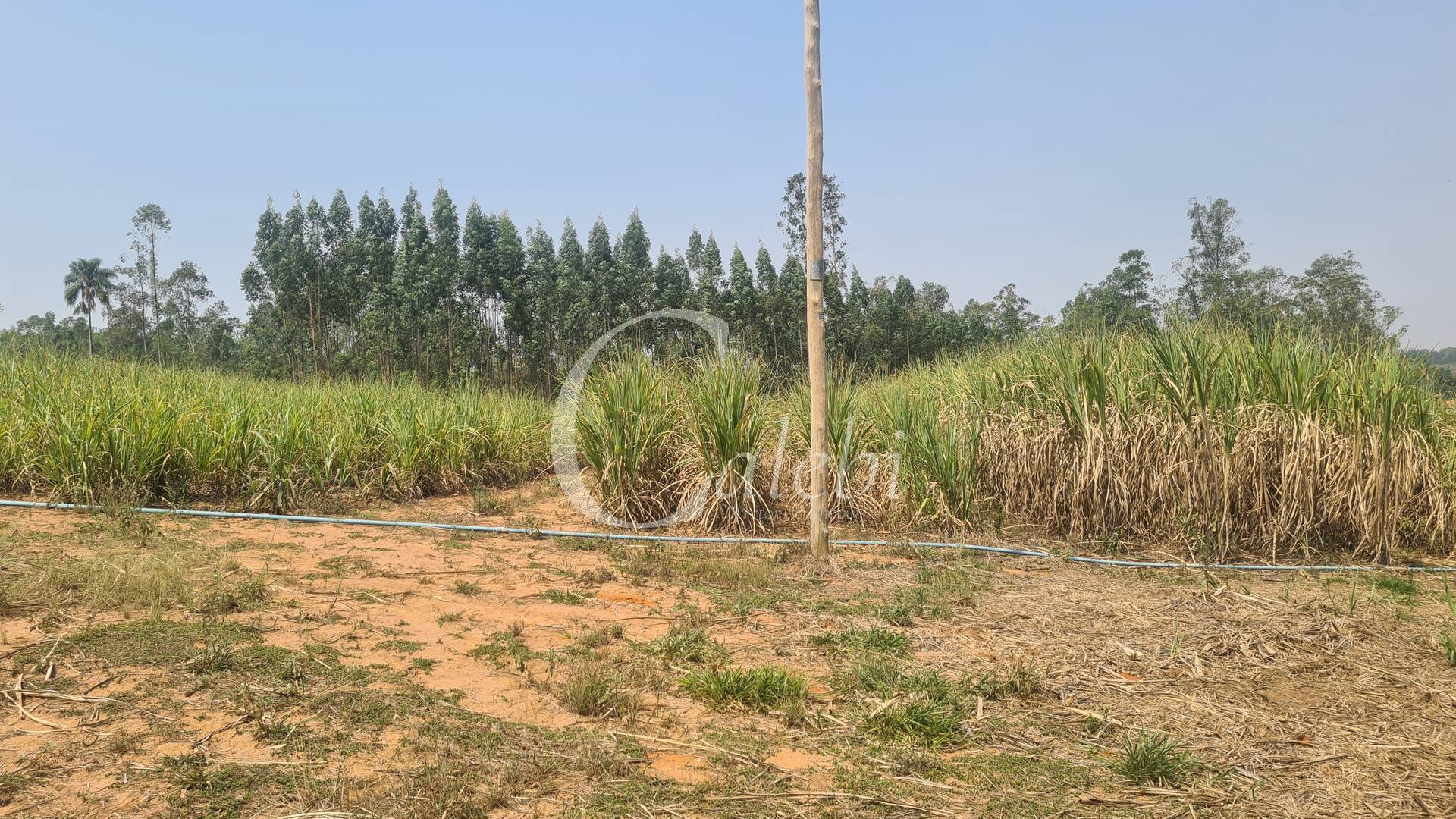 Fazenda à venda com 3 quartos, 140m² - Foto 7