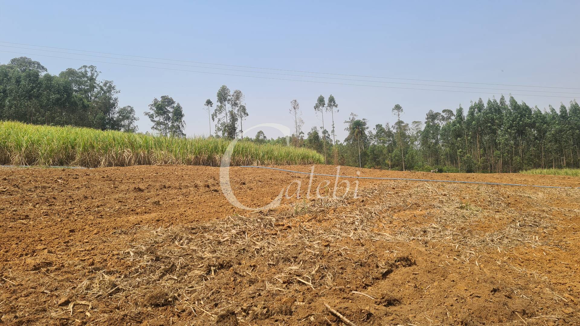 Fazenda à venda com 3 quartos, 140m² - Foto 8