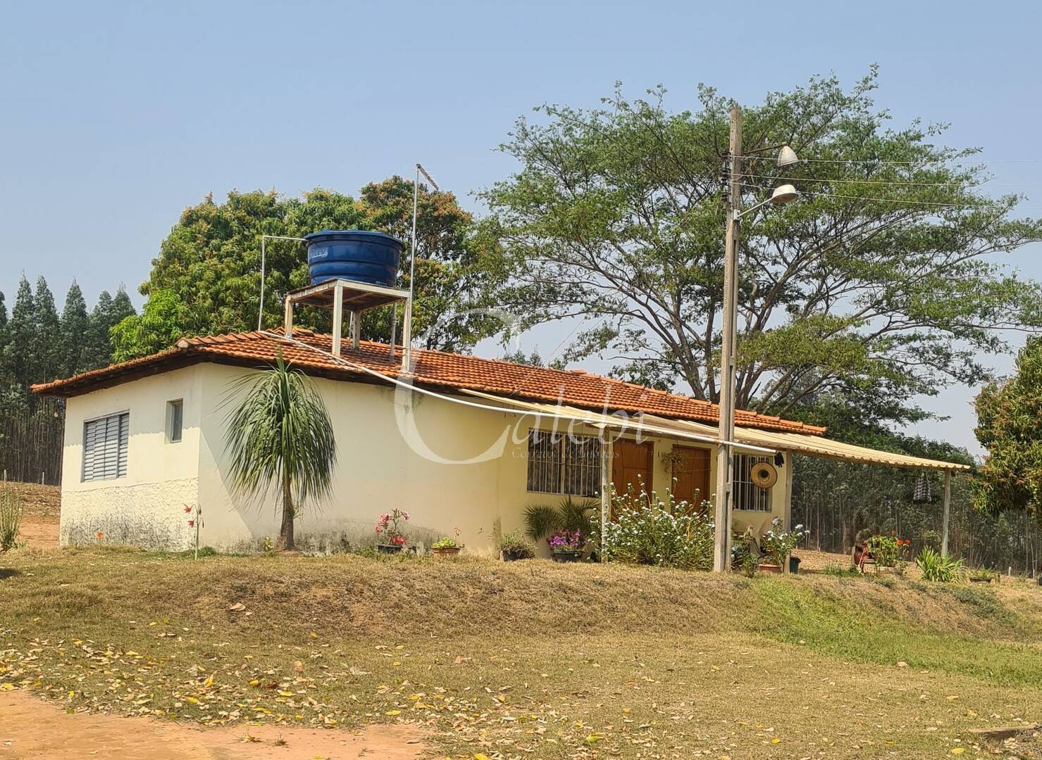 Fazenda à venda com 3 quartos, 140m² - Foto 11