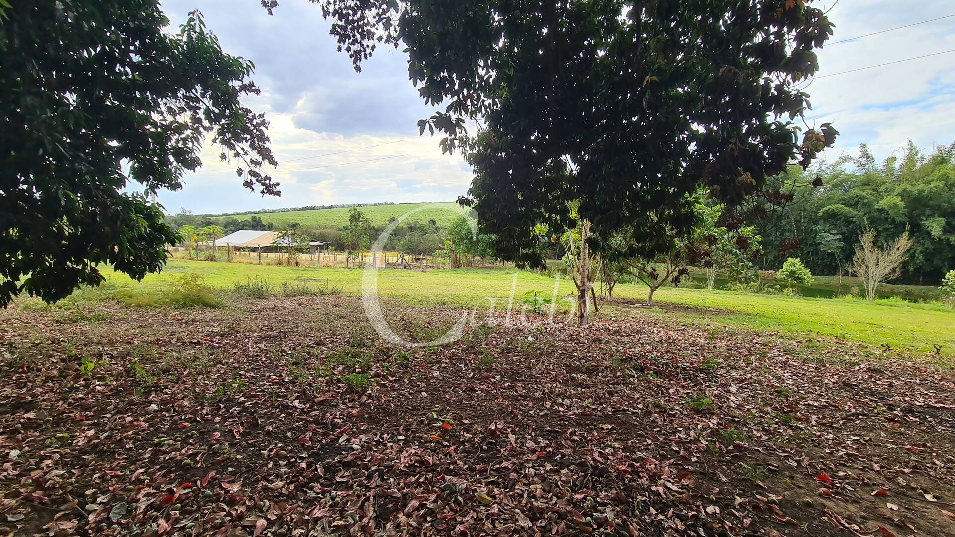 Fazenda à venda com 3 quartos, 3m² - Foto 20