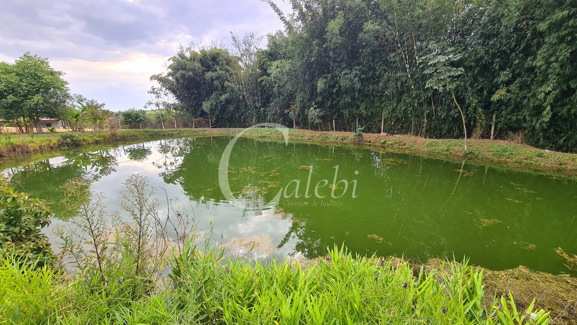 Fazenda à venda com 3 quartos, 3m² - Foto 21