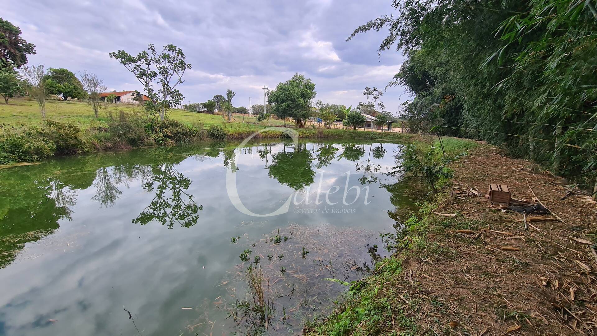 Fazenda à venda com 3 quartos, 3m² - Foto 27