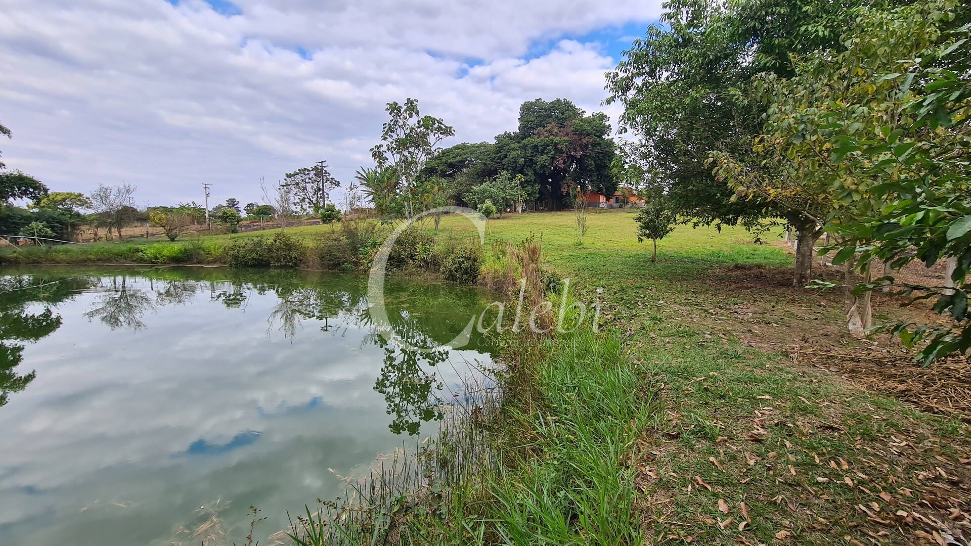 Fazenda à venda com 3 quartos, 3m² - Foto 30