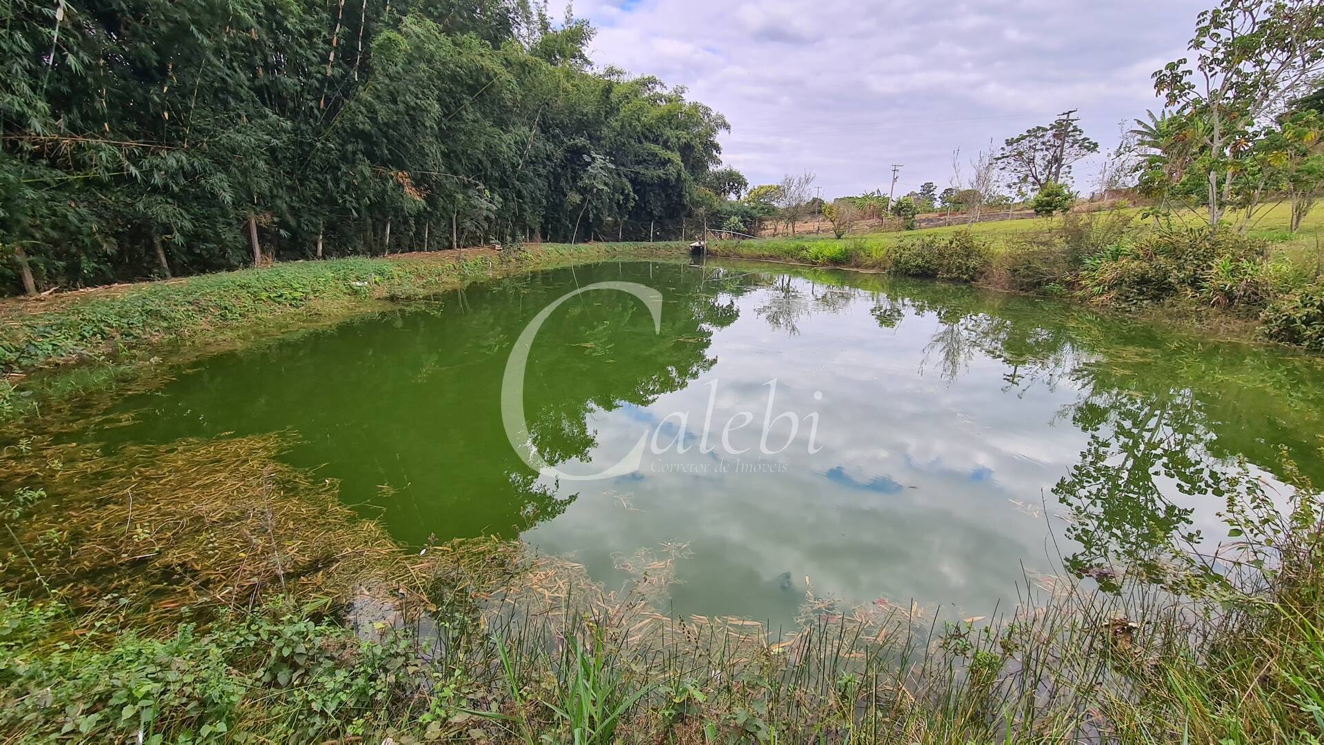 Fazenda à venda com 3 quartos, 3m² - Foto 31