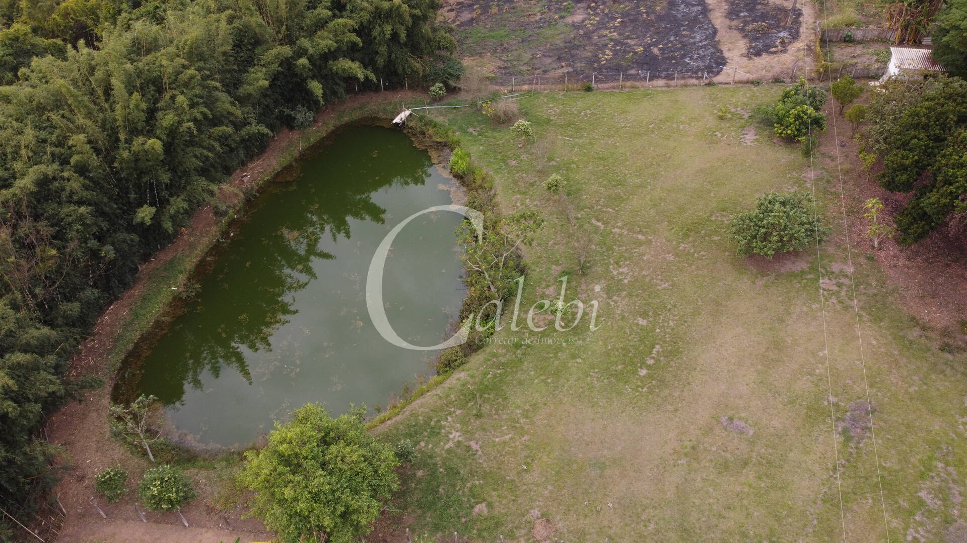 Fazenda à venda com 3 quartos, 3m² - Foto 60