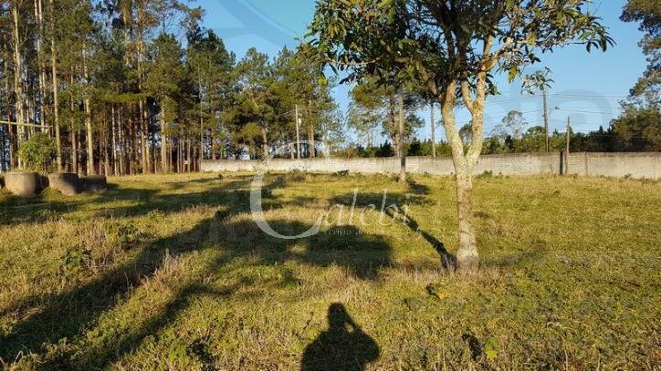 Fazenda à venda com 2 quartos, 500m² - Foto 18