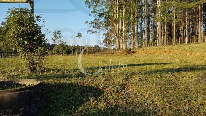 Fazenda à venda com 2 quartos, 500m² - Foto 19