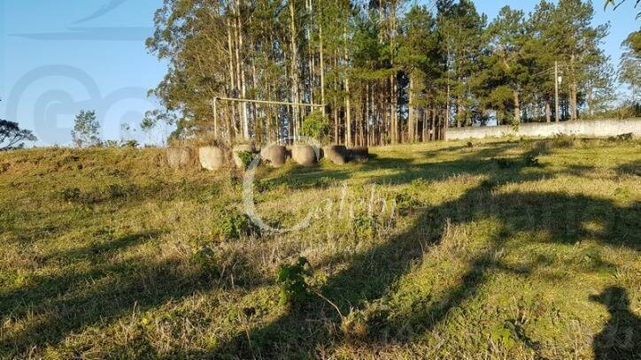 Fazenda à venda com 2 quartos, 500m² - Foto 20