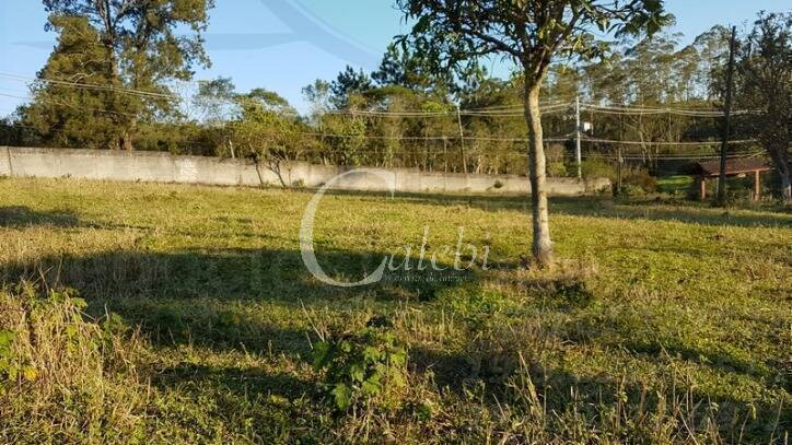 Fazenda à venda com 2 quartos, 500m² - Foto 21